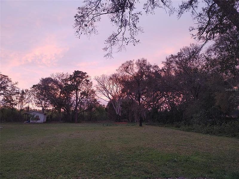215 W 131st Ave, Tampa, FL 33612 photo 2