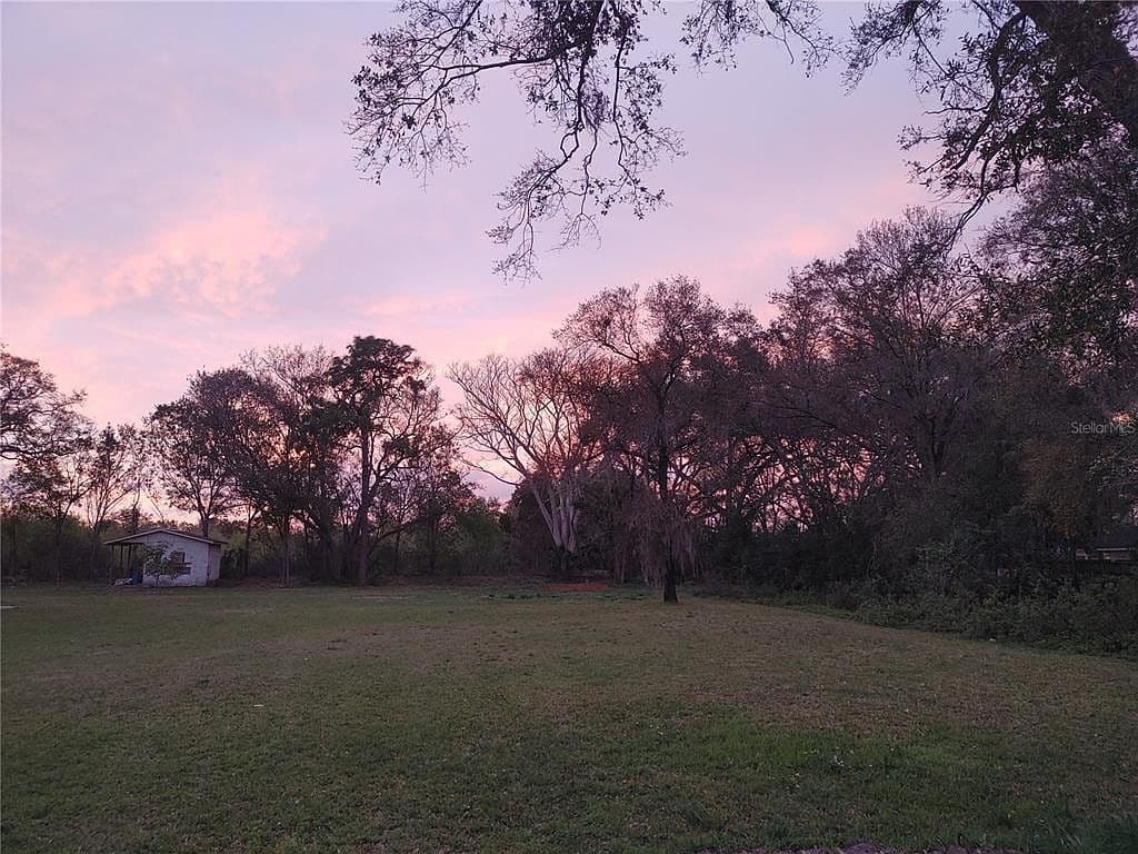 215 W 131st Ave, Tampa, FL 33612 photo 3