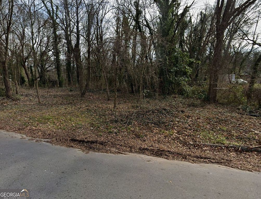 Birch St S, Atlanta, GA 30310 photo 3